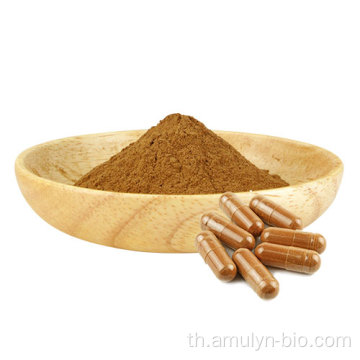 Ganoderma lucidum reishi สารสกัด lucidum reishi powder